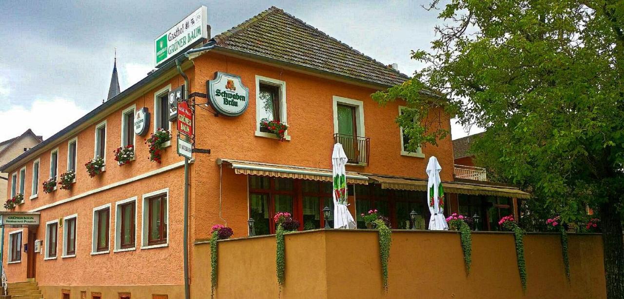 Gruener Baum Hotel Neckargerach Ngoại thất bức ảnh
